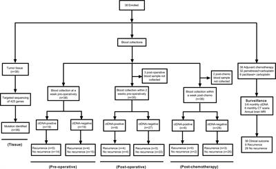 Circulating Tumor DNA Analyses as a Potential Marker of Recurrence and Effectiveness of Adjuvant Chemotherapy for Resected Non-Small-Cell Lung Cancer